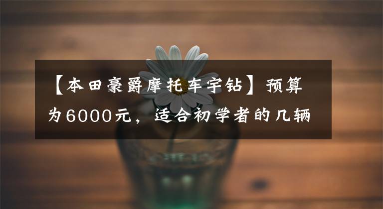 【本田豪爵摩托车宇钻】预算为6000元，适合初学者的几辆机车，第二辆颜值高，第三辆适合毛阵