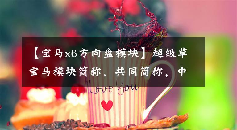 【宝马x6方向盘模块】超级草宝马模块简称，共同简称，中英对比，值得收藏
