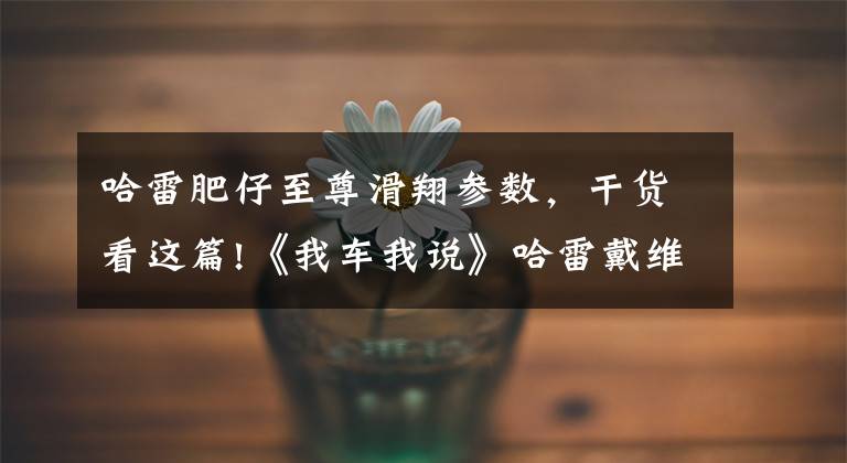 哈雷肥仔至尊滑翔参数，干货看这篇!《我车我说》哈雷戴维森至尊滑翔摩托车第二十七期