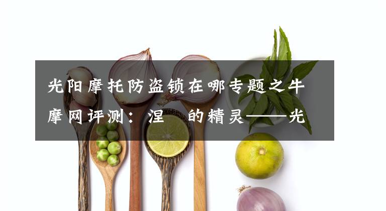 光阳摩托防盗锁在哪专题之牛摩网评测：涅槃的精灵——光阳赛艇300ABS