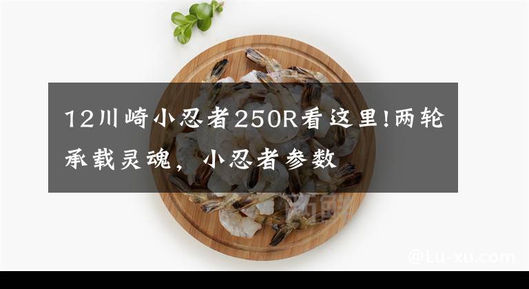 12川崎小忍者250R看这里!两轮承载灵魂，小忍者参数