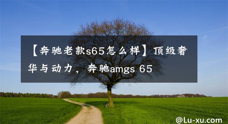 【奔驰老款s65怎么样】顶级奢华与动力，奔驰amgs 65