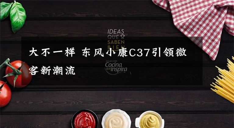 大不一样 东风小康C37引领微客新潮流
