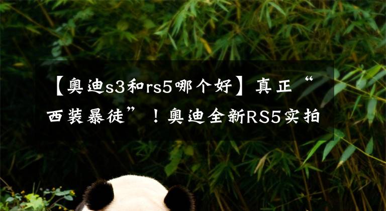 【奥迪s3和rs5哪个好】真正“西装暴徒”！奥迪全新RS5实拍，搭2.9T双增压，零百媲美M3