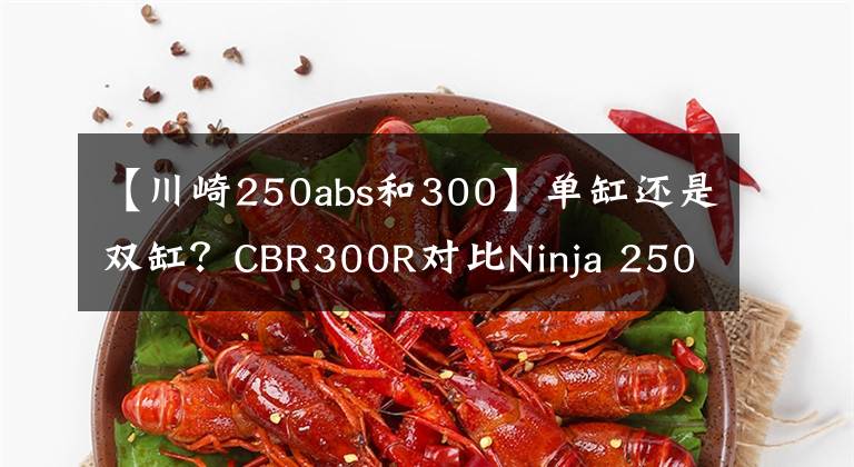 【川崎250abs和300】单缸还是双缸？CBR300R对比Ninja 250试驾