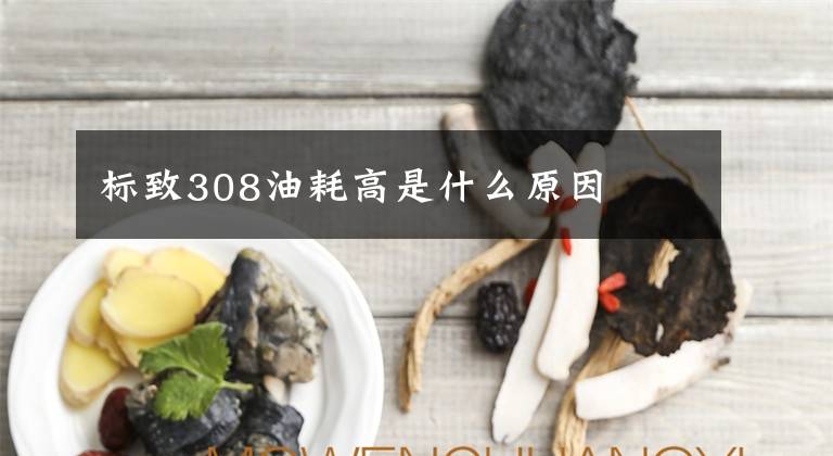 标致308油耗高是什么原因