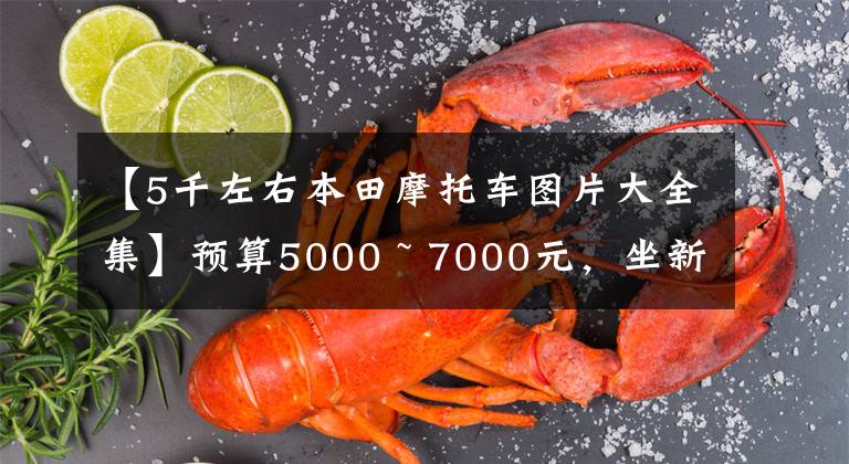 【5千左右本田摩托车图片大全集】预算5000 ~ 7000元，坐新大陆本田或五羊本田摩托车适合初学者吗？