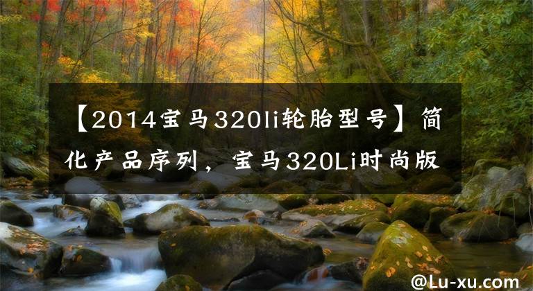 【2014宝马320li轮胎型号】简化产品序列，宝马320Li时尚版：现在不谈体育，只谈性价比。