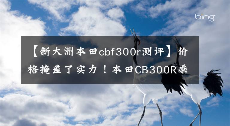 【新大洲本田cbf300r测评】价格掩盖了实力！本田CB300R乘坐完美的入门级拱廊旅行