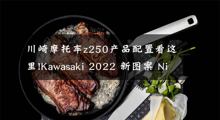 川崎摩托车z250产品配置看这里!Kawasaki 2022 新图案 Ninja 250/400、ZX-25R，Z250/400