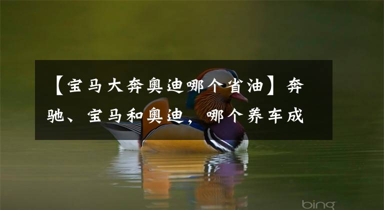 【宝马大奔奥迪哪个省油】奔驰、宝马和奥迪，哪个养车成本最低？质量是否都一样？