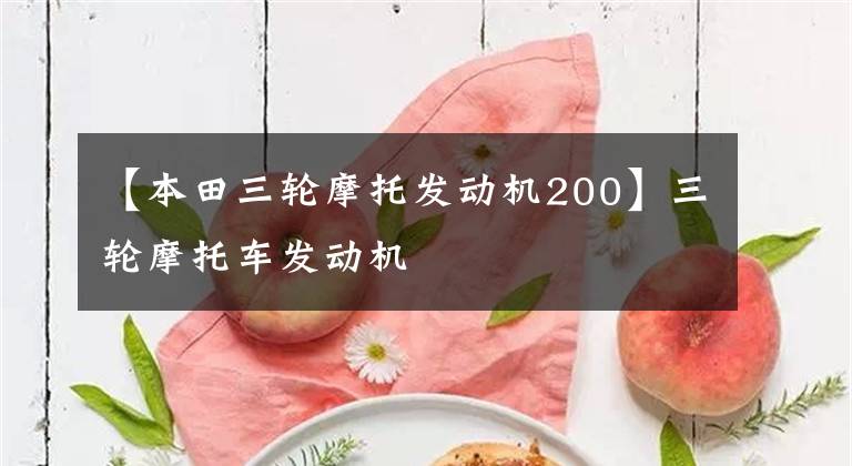 【本田三轮摩托发动机200】三轮摩托车发动机