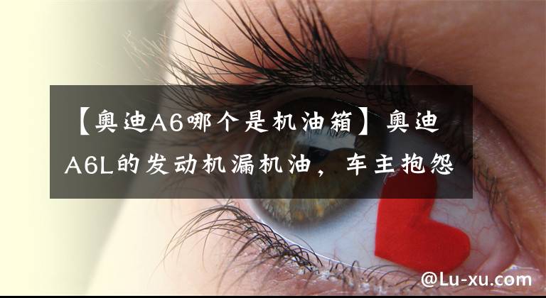 【奥迪A6哪个是机油箱】奥迪A6L的发动机漏机油，车主抱怨：变速箱需要被抬下，真麻烦