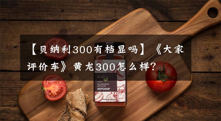 【贝纳利300有档显吗】《大家评价车》黄龙300怎么样？