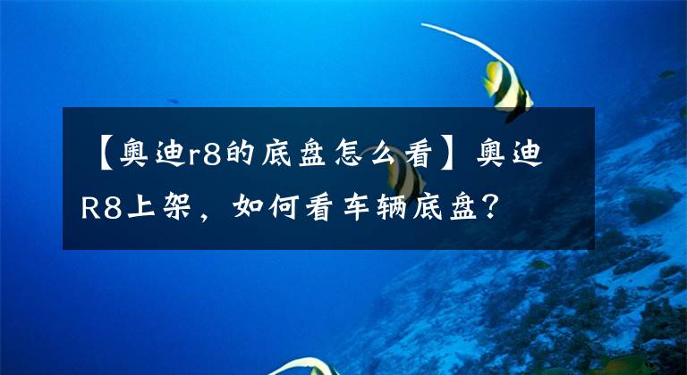 【奥迪r8的底盘怎么看】奥迪R8上架，如何看车辆底盘？