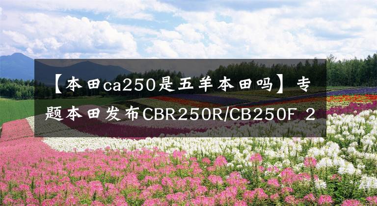 【本田ca250是五羊本田吗】专题本田发布CBR250R/CB250F 2017版