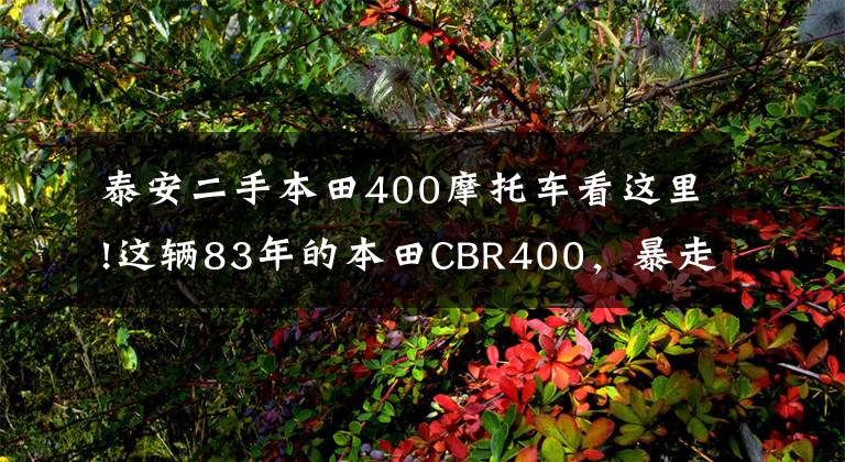 泰安二手本田400摩托车看这里!这辆83年的本田CBR400，暴走族最爱机车，转速红线1万3，太躁了
