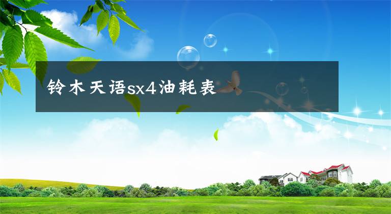 铃木天语sx4油耗表