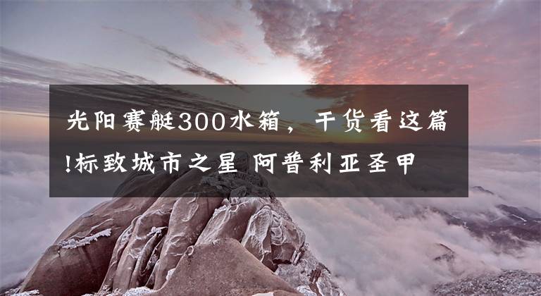 光阳赛艇300水箱，干货看这篇!标致城市之星 阿普利亚圣甲虫 光阳赛艇300（下）