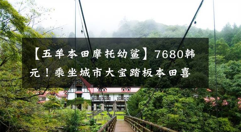 【五羊本田摩托幼鲨】7680韩元！乘坐城市大宝踏板本田喜鲨125: 15韩元一周