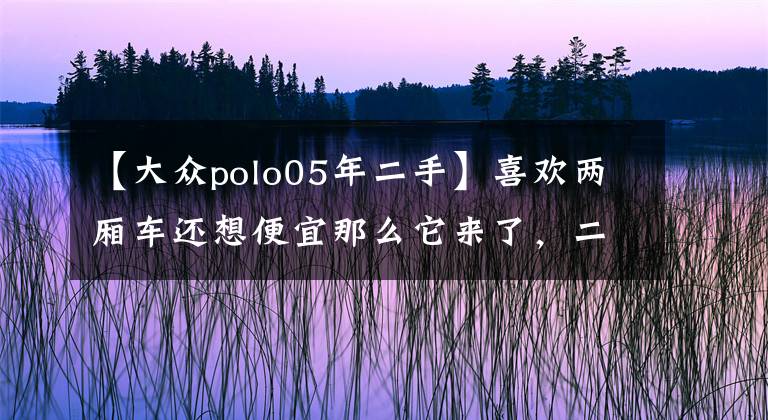【大众polo05年二手】喜欢两厢车还想便宜那么它来了，二手大众Polo 2004款