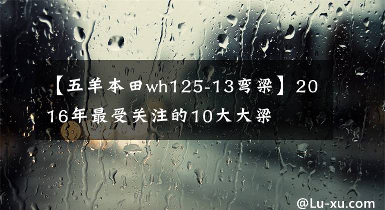【五羊本田wh125-13弯梁】2016年最受关注的10大大梁