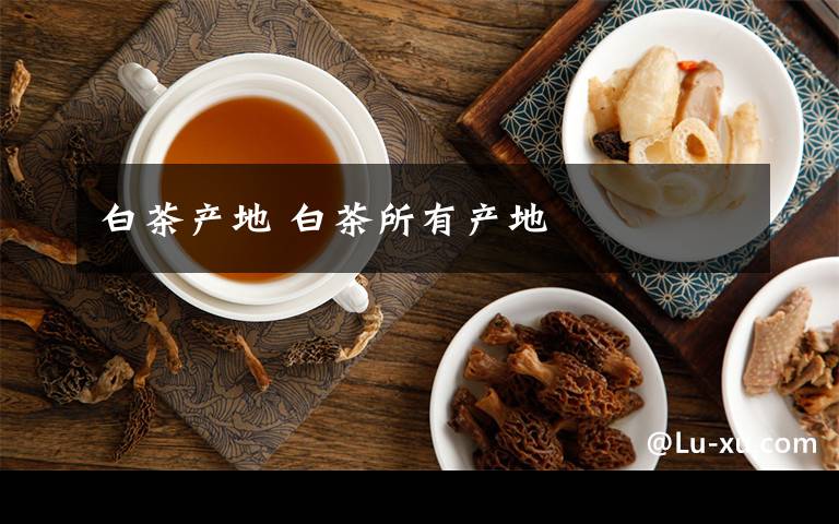 白茶产地 白茶所有产地