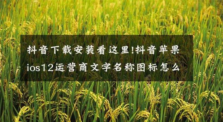 抖音下载安装看这里!抖音苹果ios12运营商文字名称图标怎么改换 CC12设置安装教程