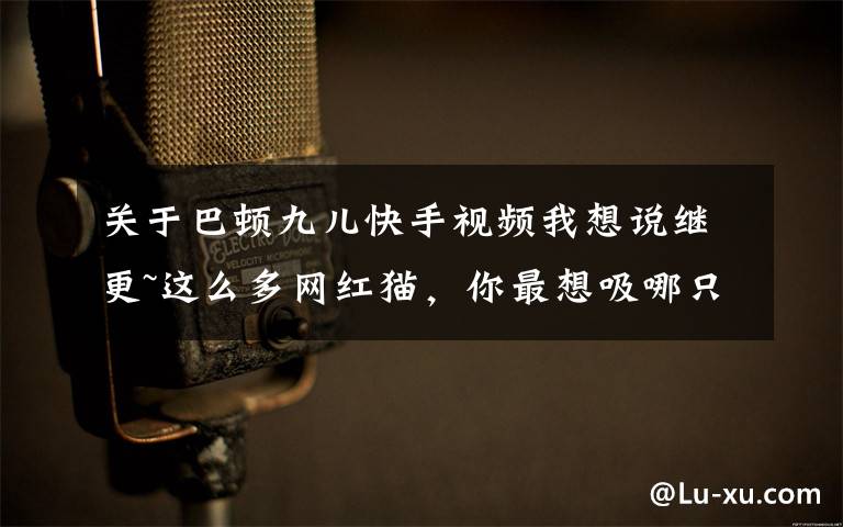 关于巴顿九儿快手视频我想说继更~这么多网红猫，你最想吸哪只？