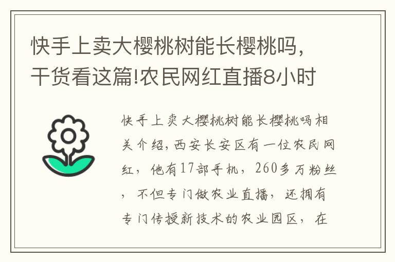 快手上卖大樱桃树能长樱桃吗，干货看这篇!农民网红直播8小时卖出2400斤樱桃！农业经济网红是否开始腾飞？