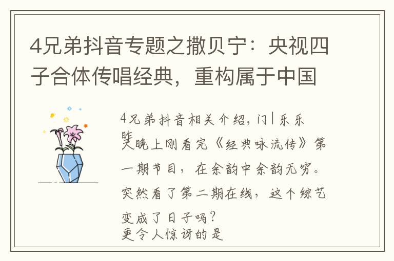 4兄弟抖音专题之撒贝宁：央视四子合体传唱经典，重构属于中国人的精神坐标