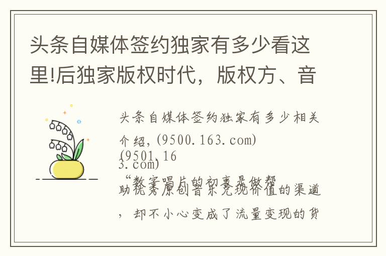 头条自媒体签约独家有多少看这里!后独家版权时代，版权方、音乐人、平台 将面临什么？