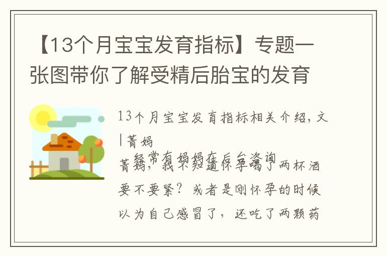 【13个月宝宝发育指标】专题一张图带你了解受精后胎宝的发育，孕妈早清楚避免畸形发生