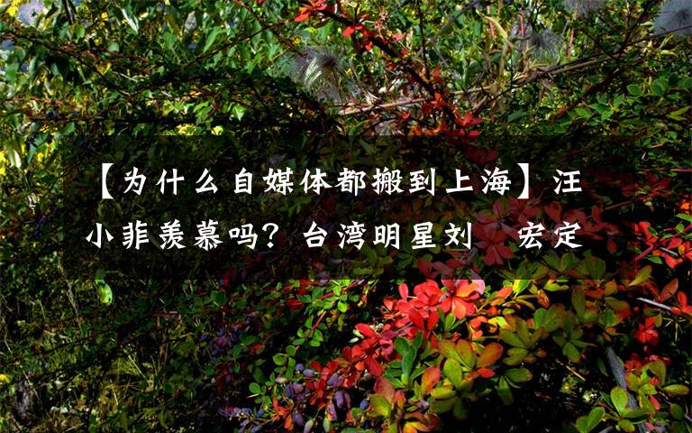 【为什么自媒体都搬到上海】汪小菲羡慕吗？台湾明星刘畊宏定居上海，大S却觉得北京没台湾好