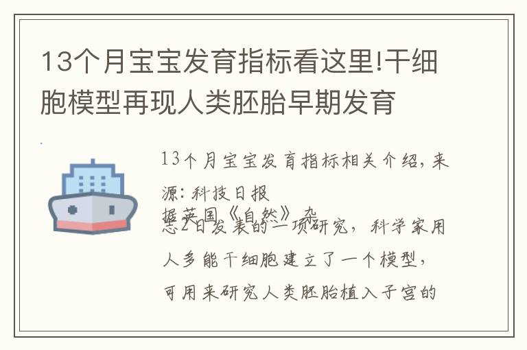 13个月宝宝发育指标看这里!干细胞模型再现人类胚胎早期发育