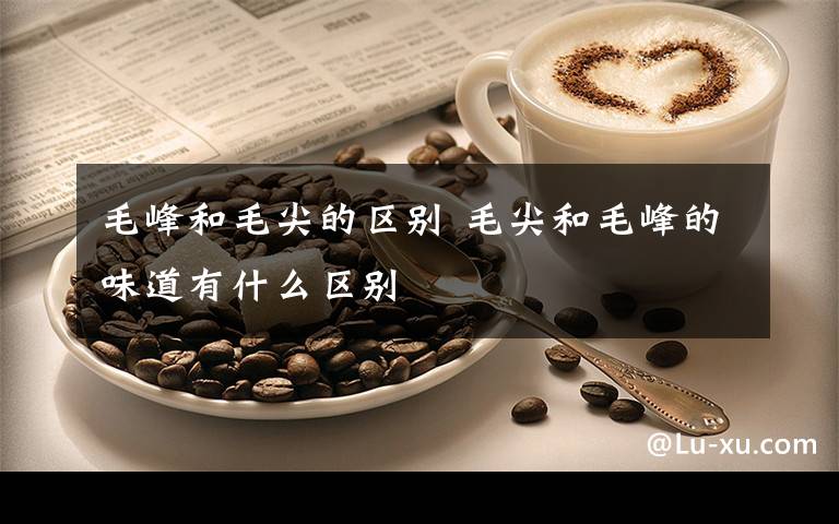毛峰和毛尖的区别 毛尖和毛峰的味道有什么区别