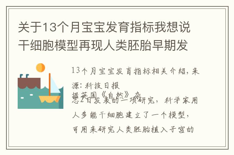 关于13个月宝宝发育指标我想说干细胞模型再现人类胚胎早期发育
