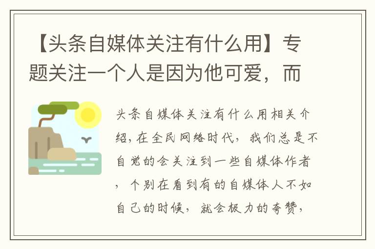 【头条自媒体关注有什么用】专题关注一个人是因为他可爱，而不是他可怜