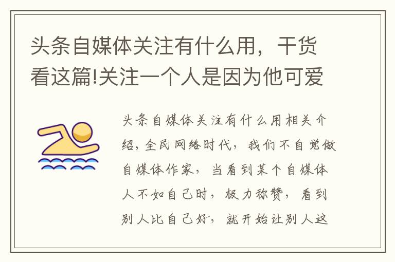 头条自媒体关注有什么用，干货看这篇!关注一个人是因为他可爱，而不是他可怜