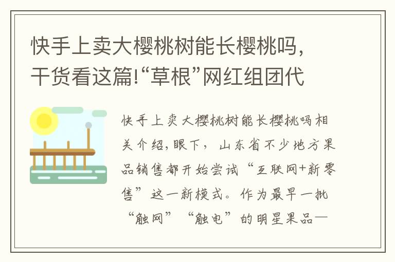 快手上卖大樱桃树能长樱桃吗，干货看这篇!“草根”网红组团代言 直播带货大樱桃销售达2632单