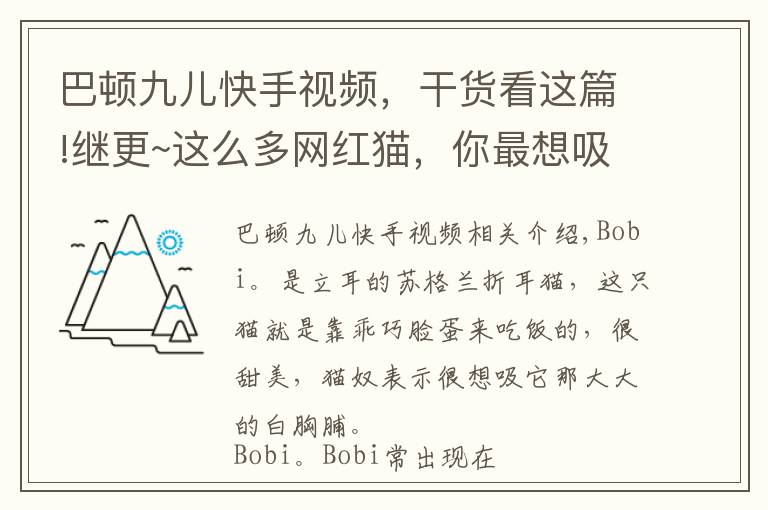巴顿九儿快手视频，干货看这篇!继更~这么多网红猫，你最想吸哪只？