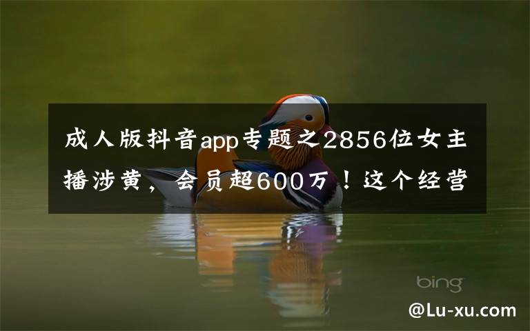 成人版抖音app专题之2856位女主播涉黄，会员超600万！这个经营色情直播App团伙被公诉