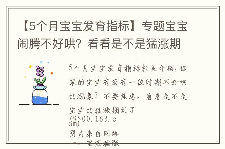 【5个月宝宝发育指标】专题宝宝闹腾不好哄？看看是不是猛涨期到了