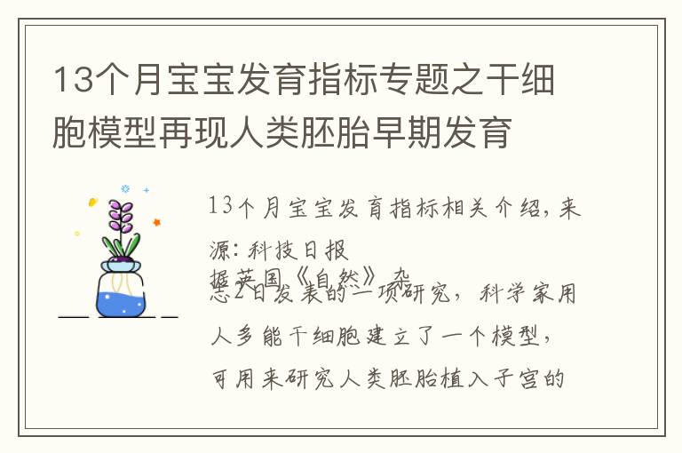 13个月宝宝发育指标专题之干细胞模型再现人类胚胎早期发育