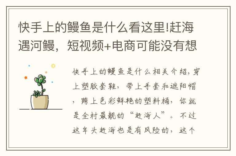 快手上的鳗鱼是什么看这里!赶海遇河鳗，短视频+电商可能没有想象的那么好