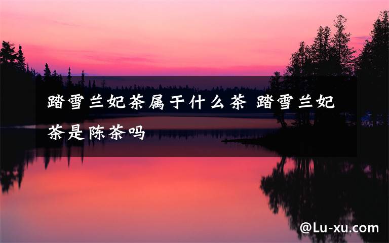 踏雪兰妃茶属于什么茶 踏雪兰妃茶是陈茶吗