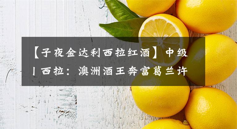 【子夜金达利西拉红酒】中级丨西拉：澳洲酒王奔富葛兰许的幕后“功臣”