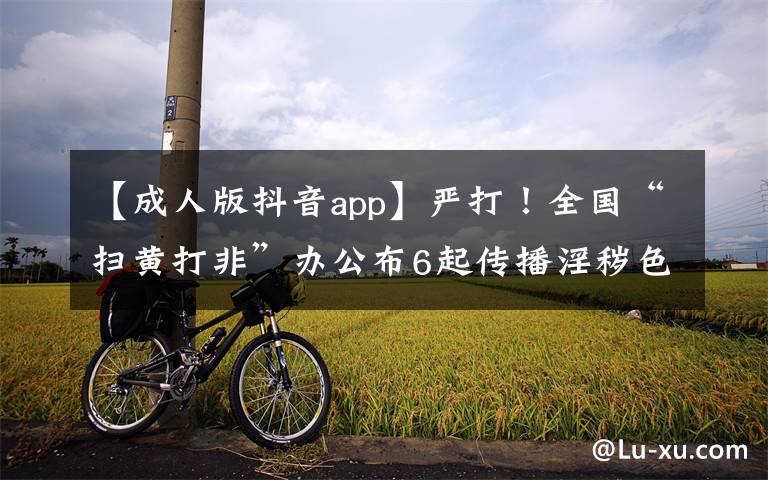 【成人版抖音app】严打！全国“扫黄打非”办公布6起传播淫秽色情信息案件