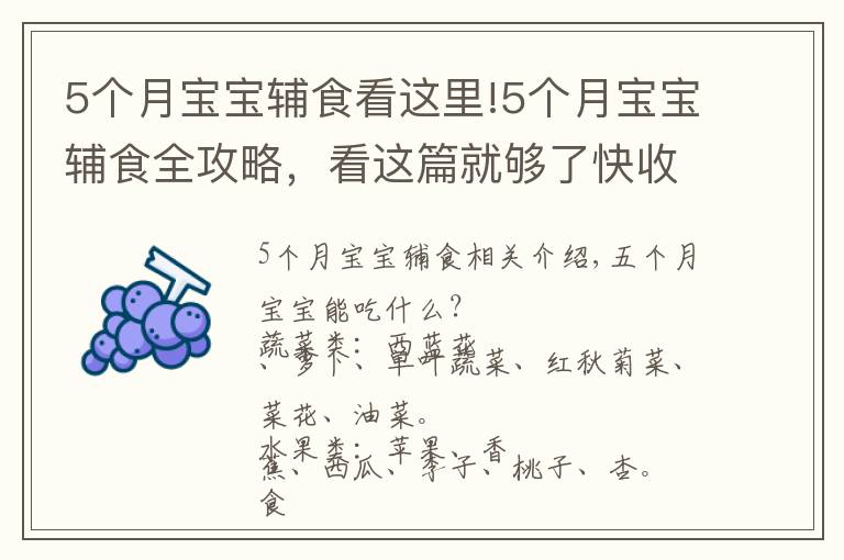 5个月宝宝辅食看这里!5个月宝宝辅食全攻略，看这篇就够了快收藏吧！