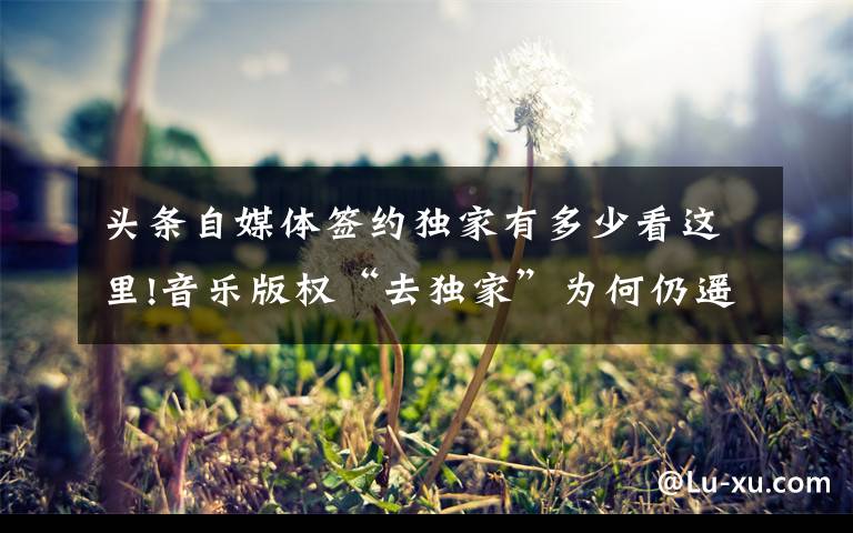 头条自媒体签约独家有多少看这里!音乐版权“去独家”为何仍遥遥无期？